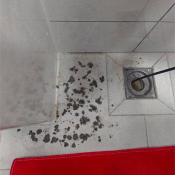 英泥沙石入渠檢查